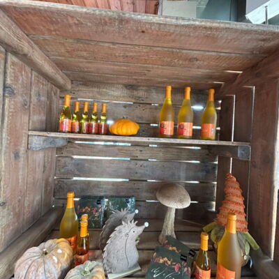 Kiste mit Eisenmann-Produkten