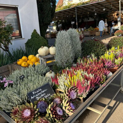 Außenstand mit Blumen