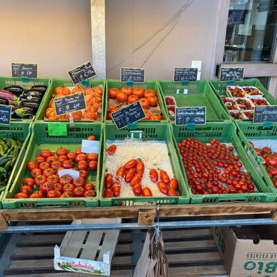 Tomaten und Gurken